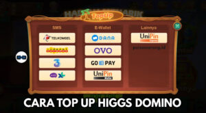 Cara Top Up Higgs Domino 3000 Via Pulsa (Semua Operator)
