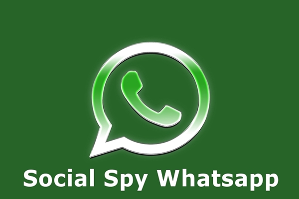 Sekilas Tentang Social Spy WhatsApp